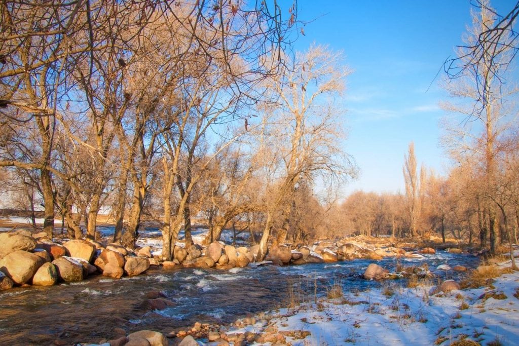 Fish Tailwaters & Spring Creeks