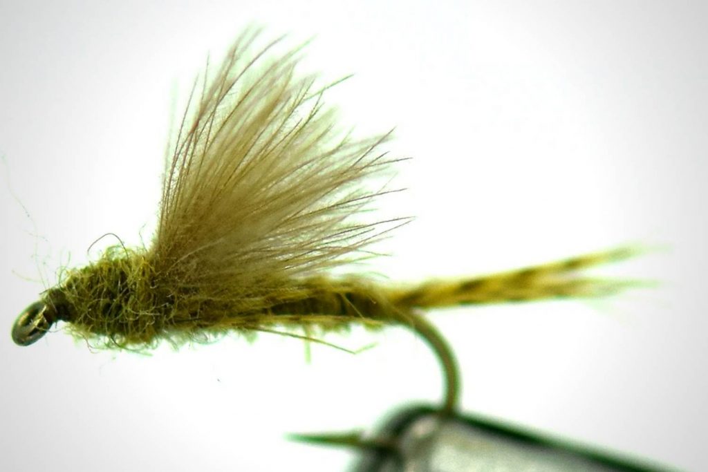Harrop’s CDC Biot Dun BWO