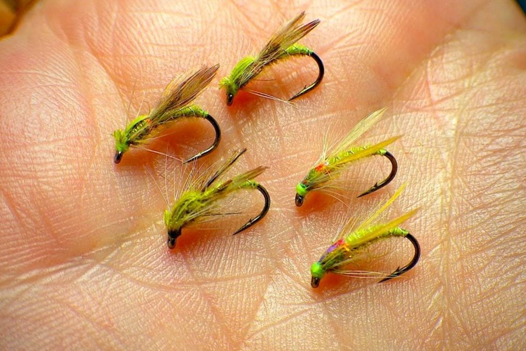 Midge Adult