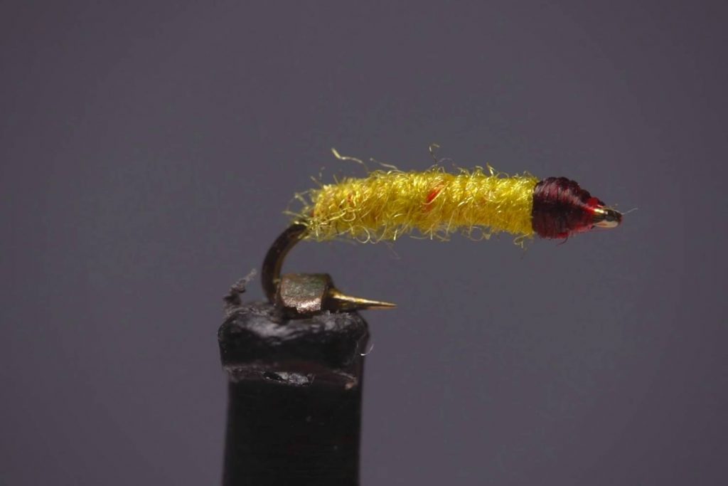 midge larvae