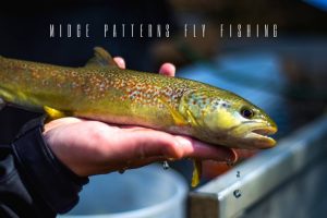Midge Patterns Fly Fishing