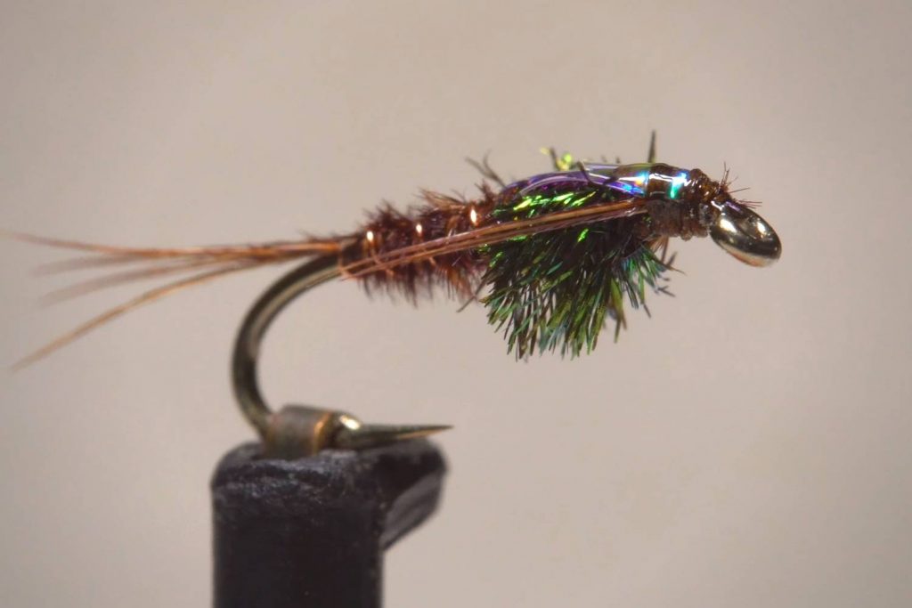 Pheasant Tail Nymphs
