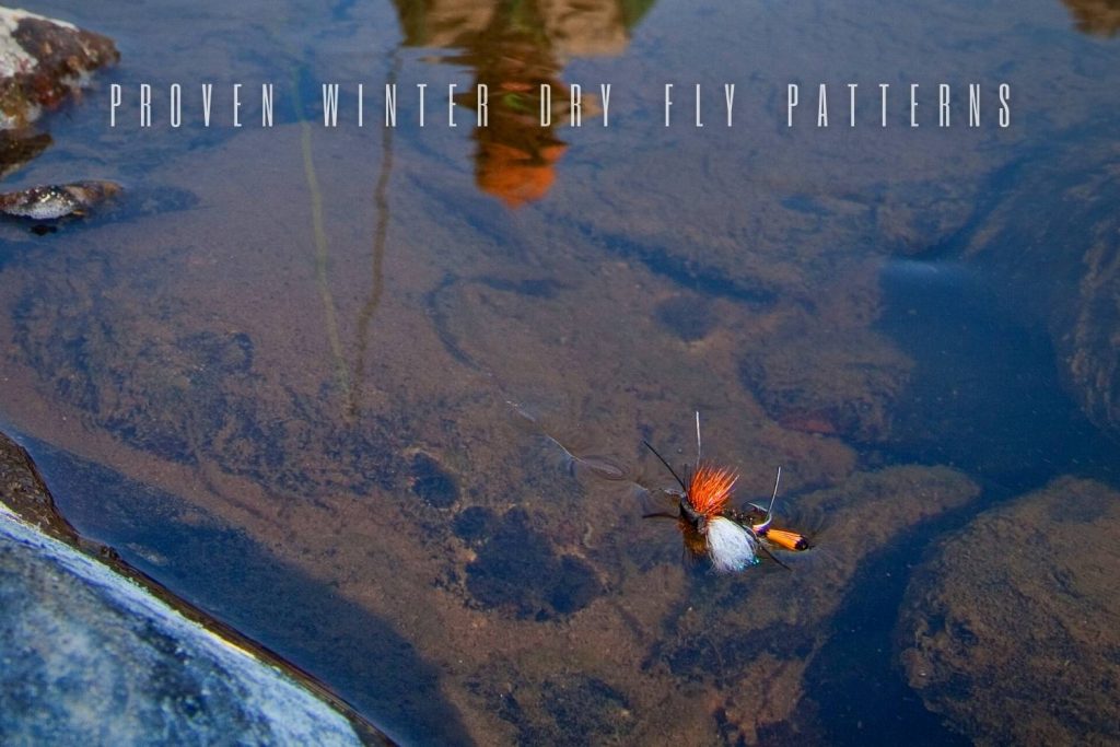 Proven Winter Dry Fly Patterns