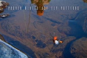 Proven Winter Dry Fly Patterns