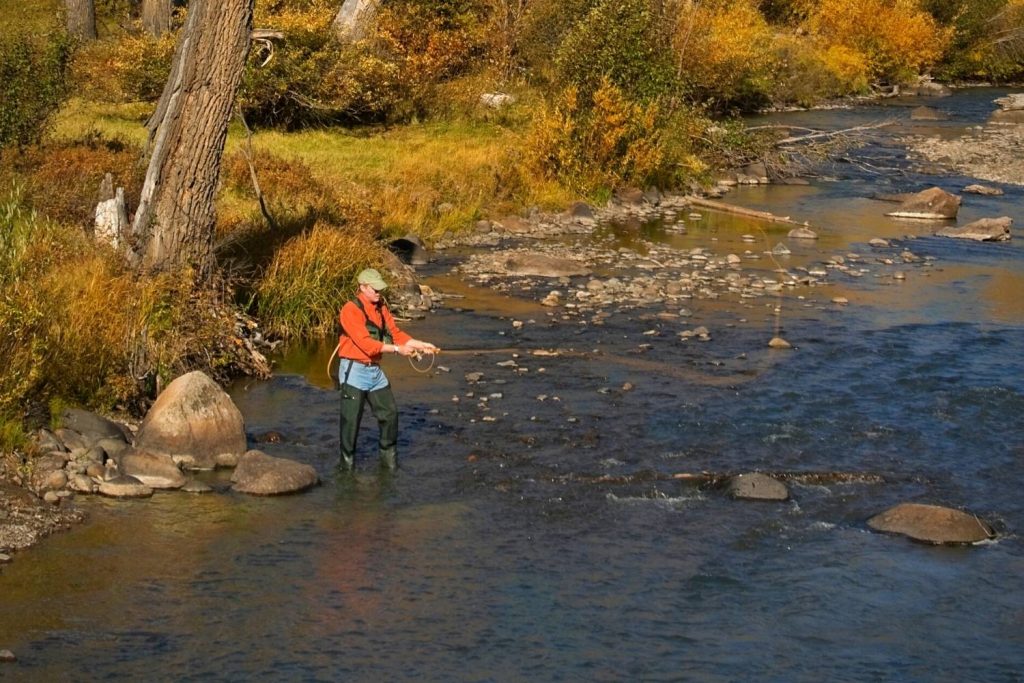 What do trout eat in the fall