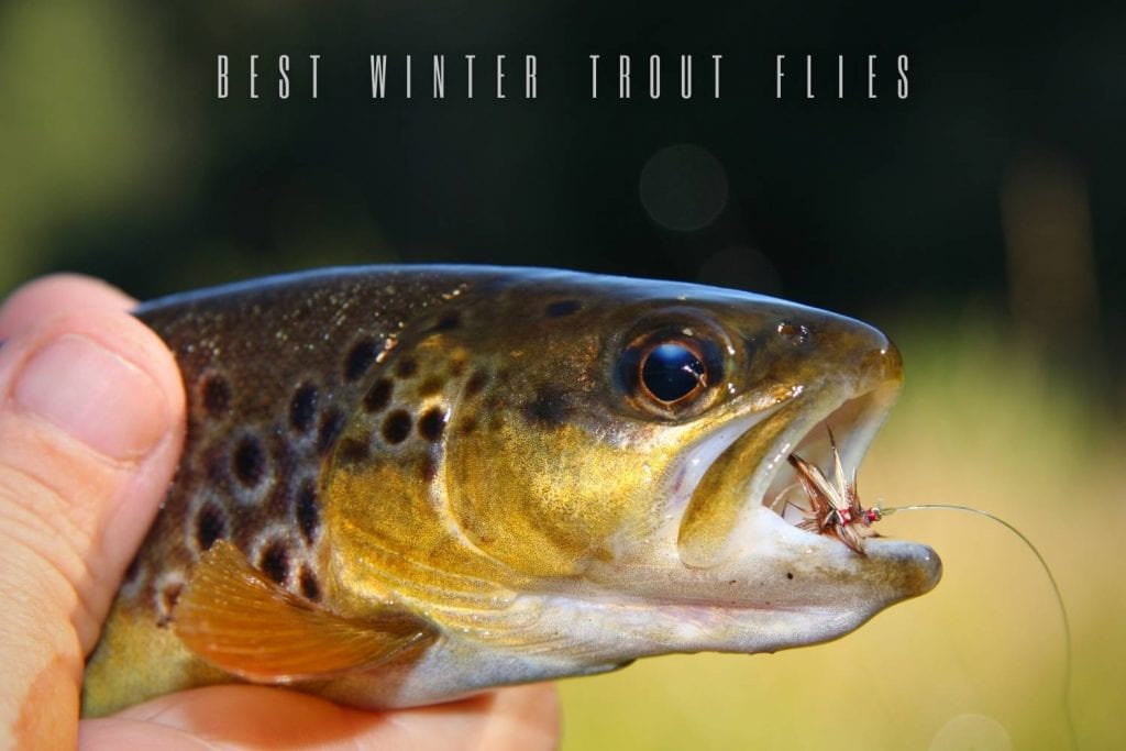 best winter trout flies