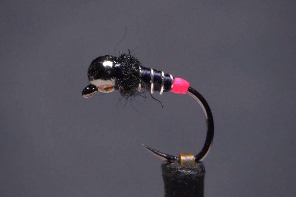 zebra midge