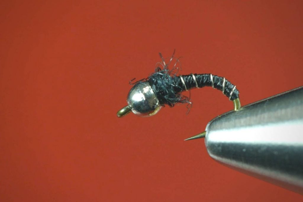 zebra midge