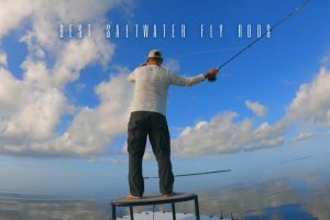best saltwater fly rods
