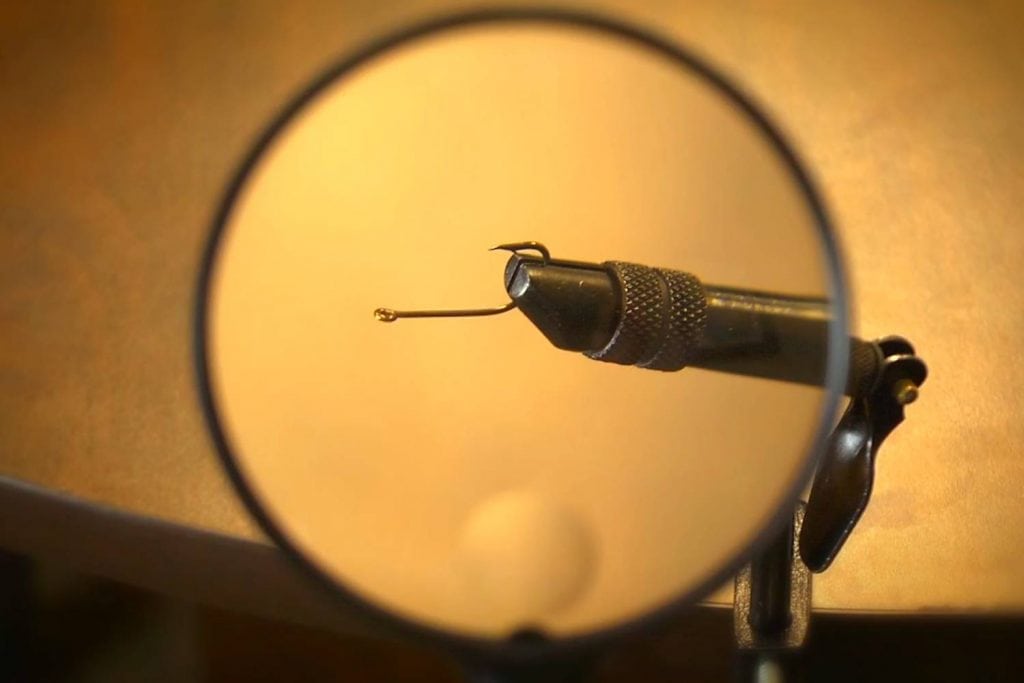 magnifying glass wrap up