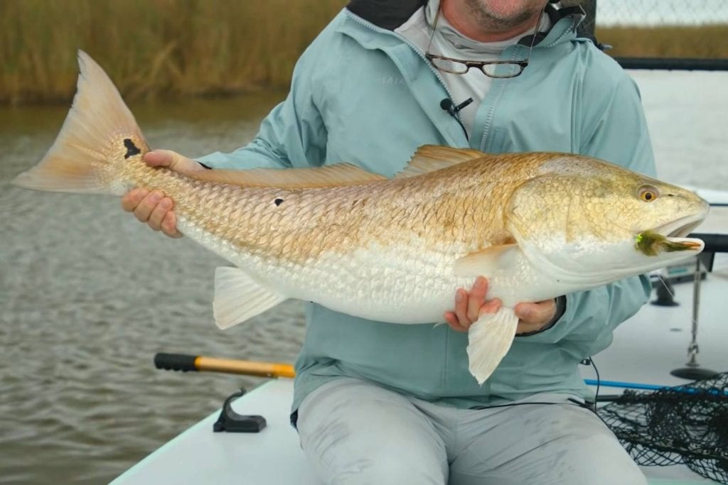 best flies for redfish conclusion