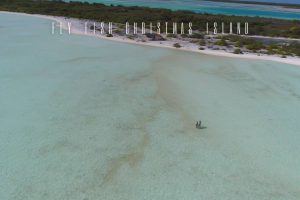 fly fish christmas island