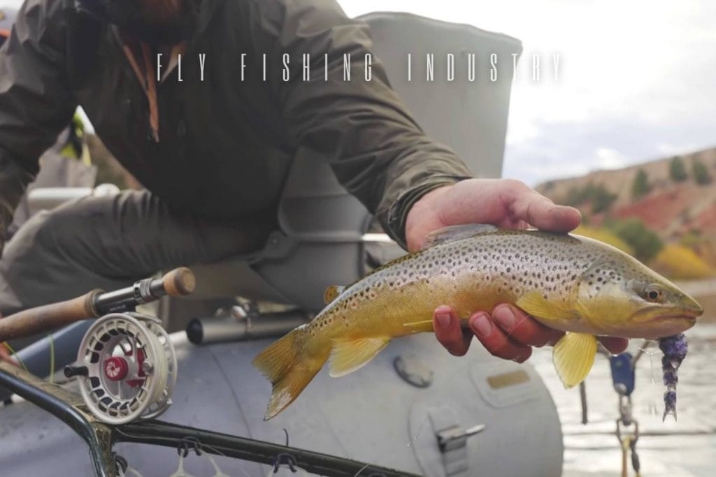 fly fishing industry
