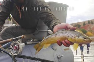 fly fishing industry