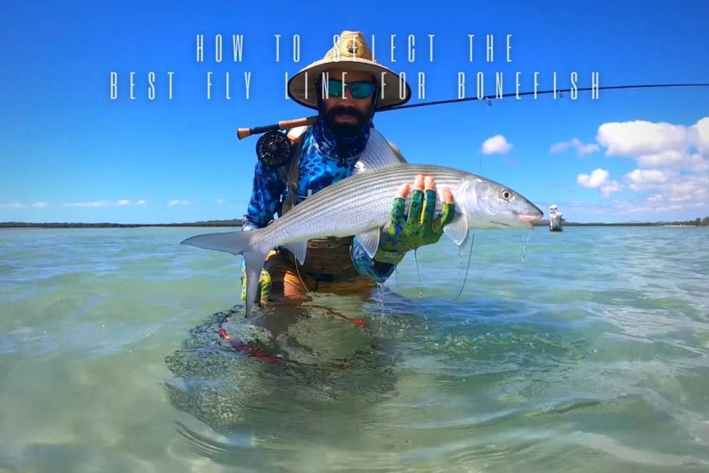 how to select the best fly line for bonefish