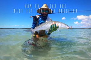 how to select the best fly line for bonefish