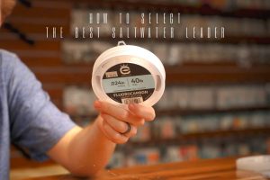 how to select the best saltwater leader