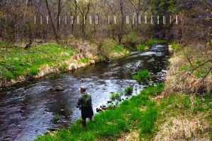 Fly Fishing in Minnesota