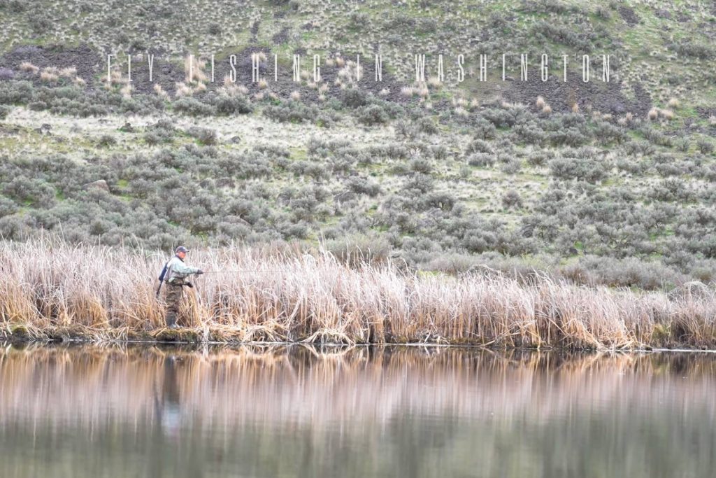 Best Trout Fly Fishing in Washington