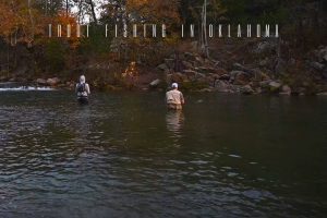 trout fishing in oklahoma