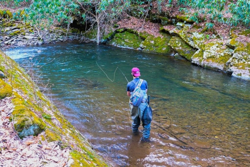 4 weight fly rod action
