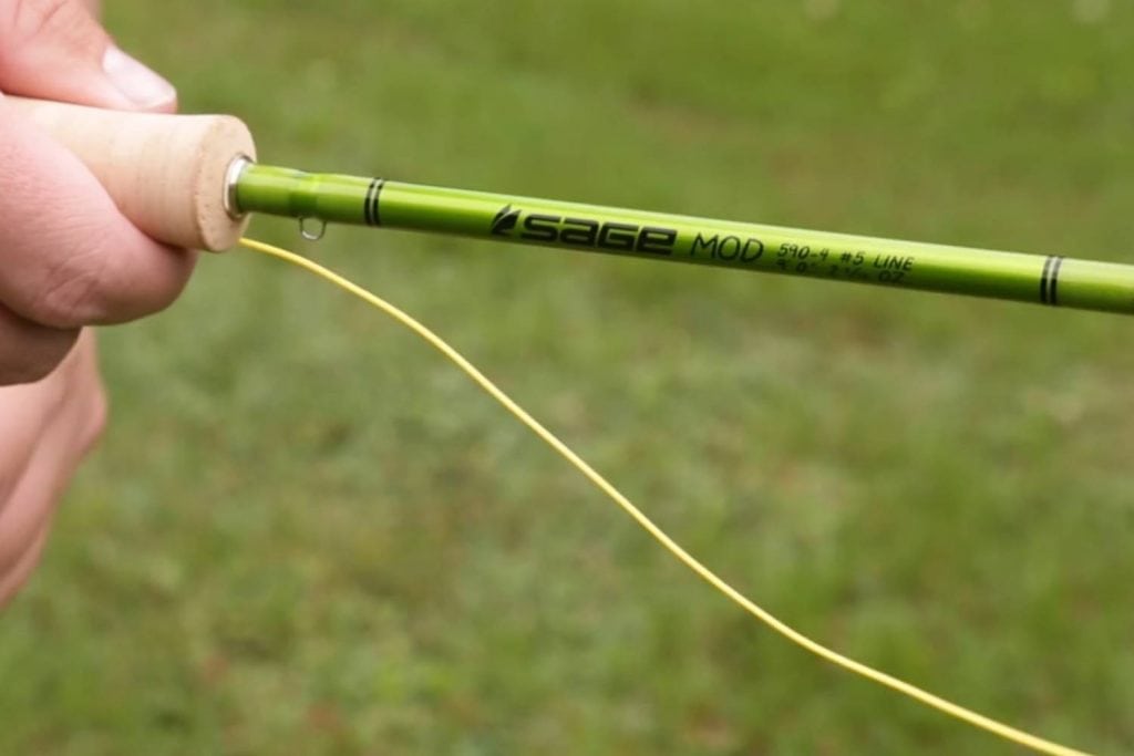 Perfect for Trout Fishing