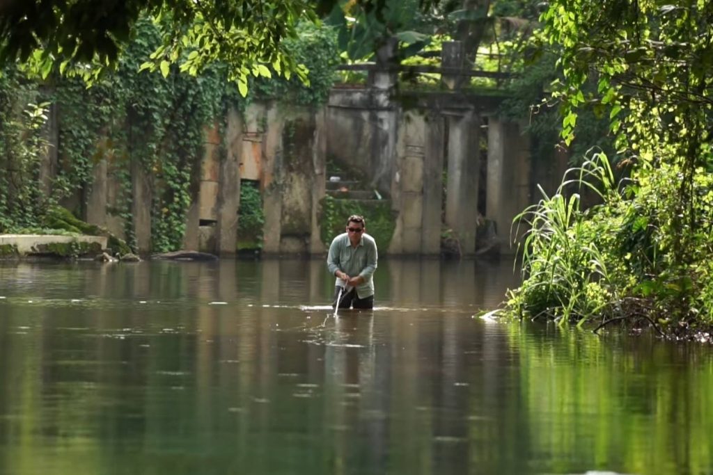 a joy to cast