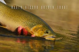 world record cutthroat trout