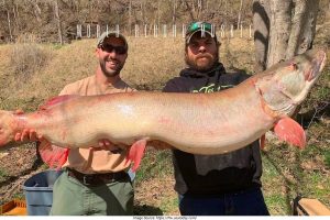 muskie world record