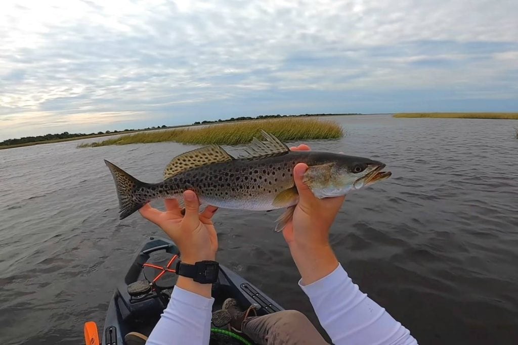 speckled trout FAQ