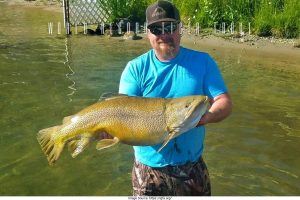 world record tiger trout