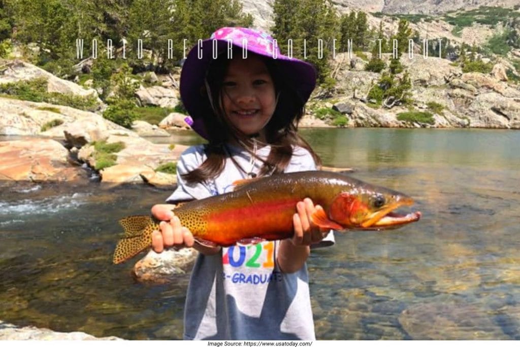 world record golden trout