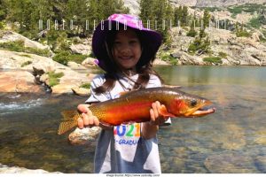 world record golden trout