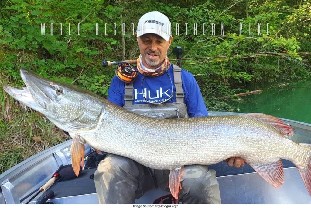 world record northern pike