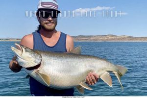 world record rainbow trout