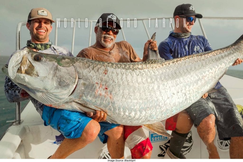 world record tarpon
