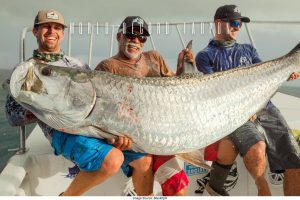 world record tarpon