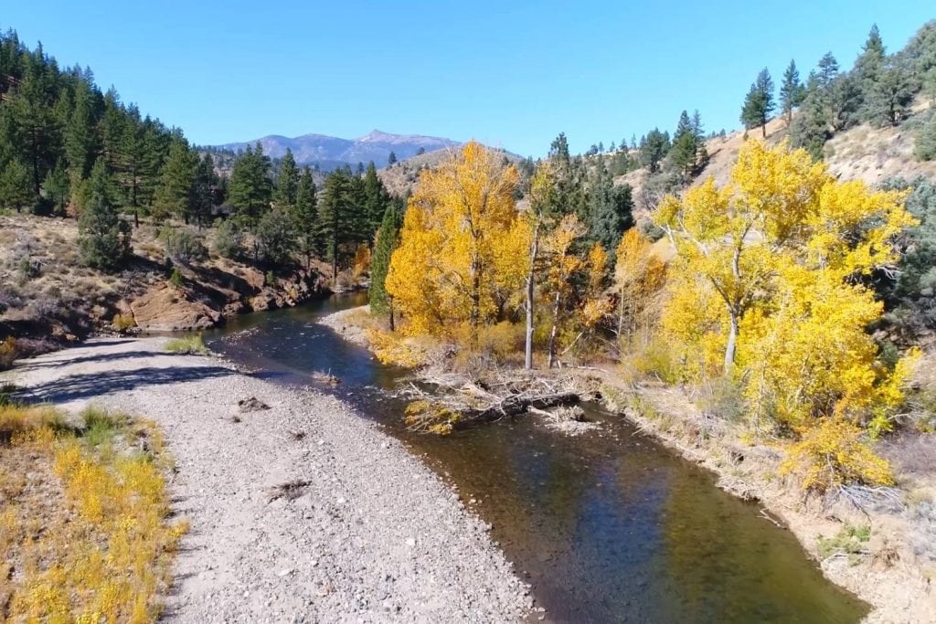 East Fork Of The Carson River