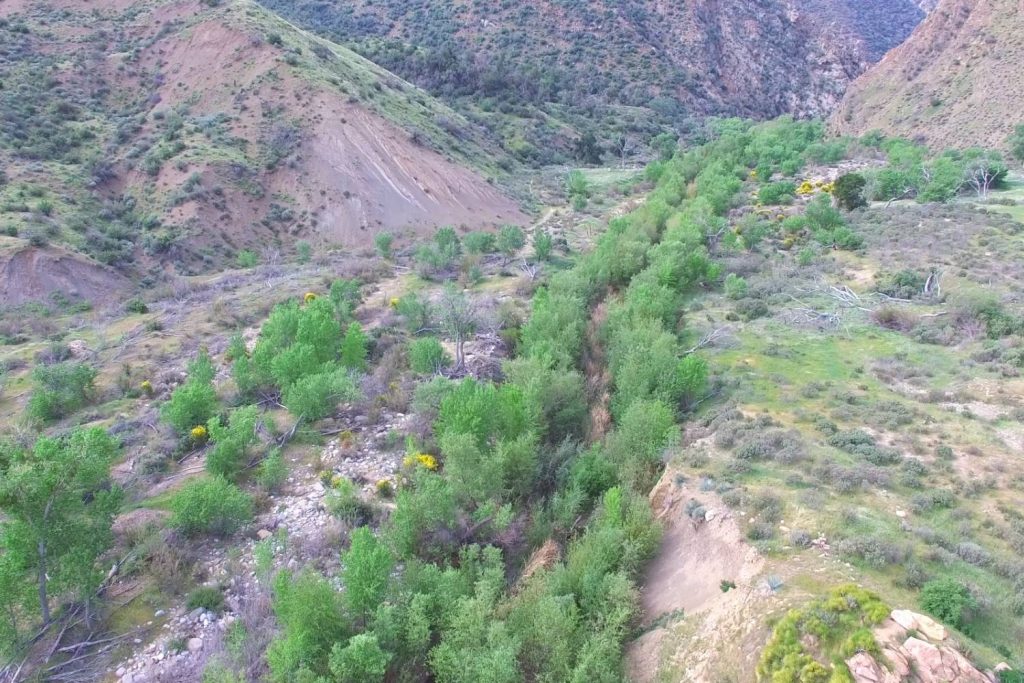 Piru Creek