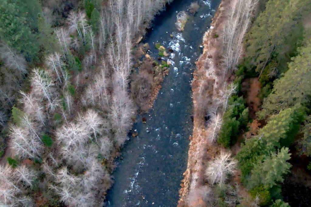 Upper Sacramento River