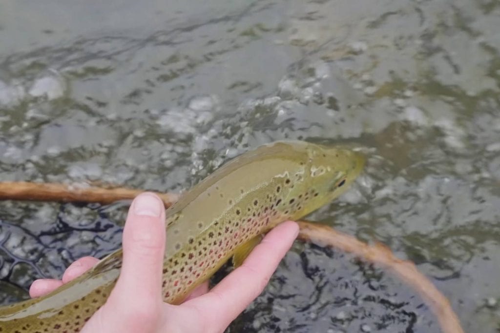 When Is The Worst Time To Catch Trout