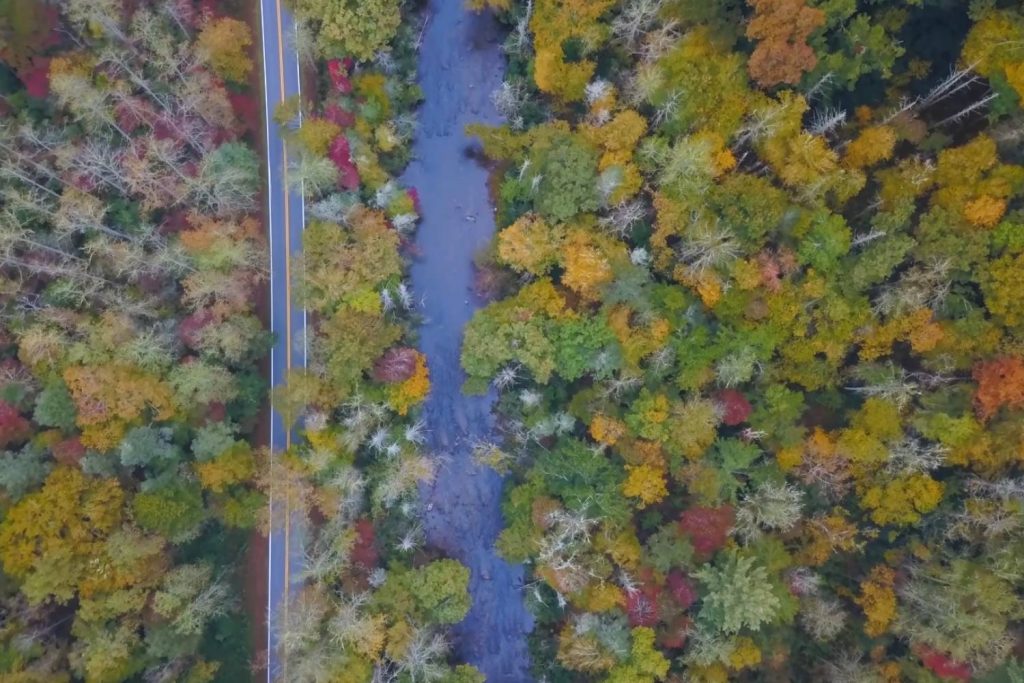 davidson river