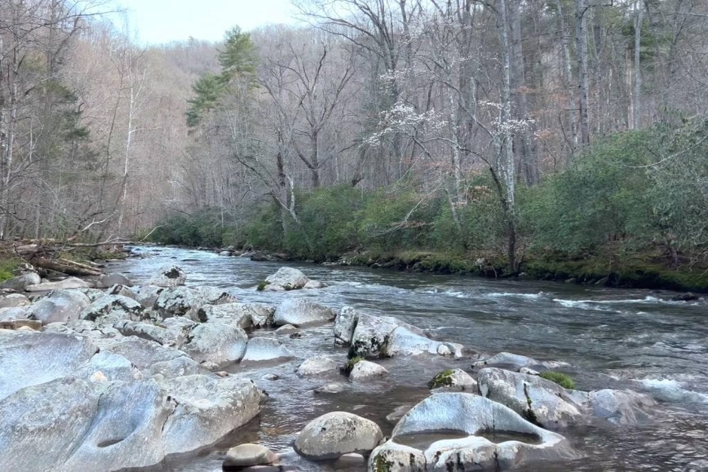 raven fork
