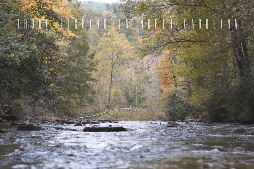 Best Places for Fly Fishing in North Carolina