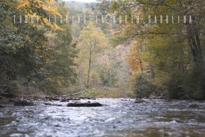 Best Places for Fly Fishing in North Carolina