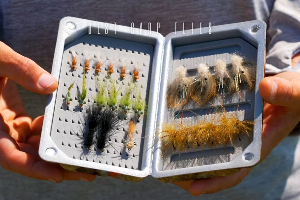 best carp flies