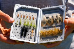 best carp flies