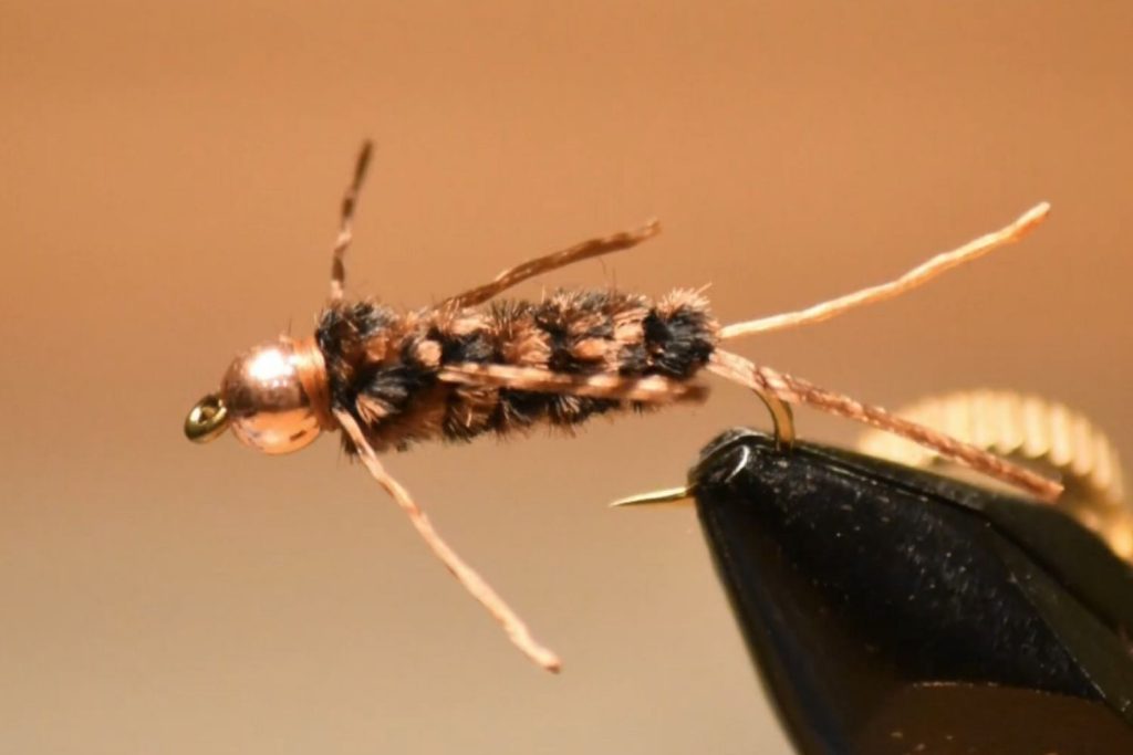 Brown Sexy Stone Fly Nymph