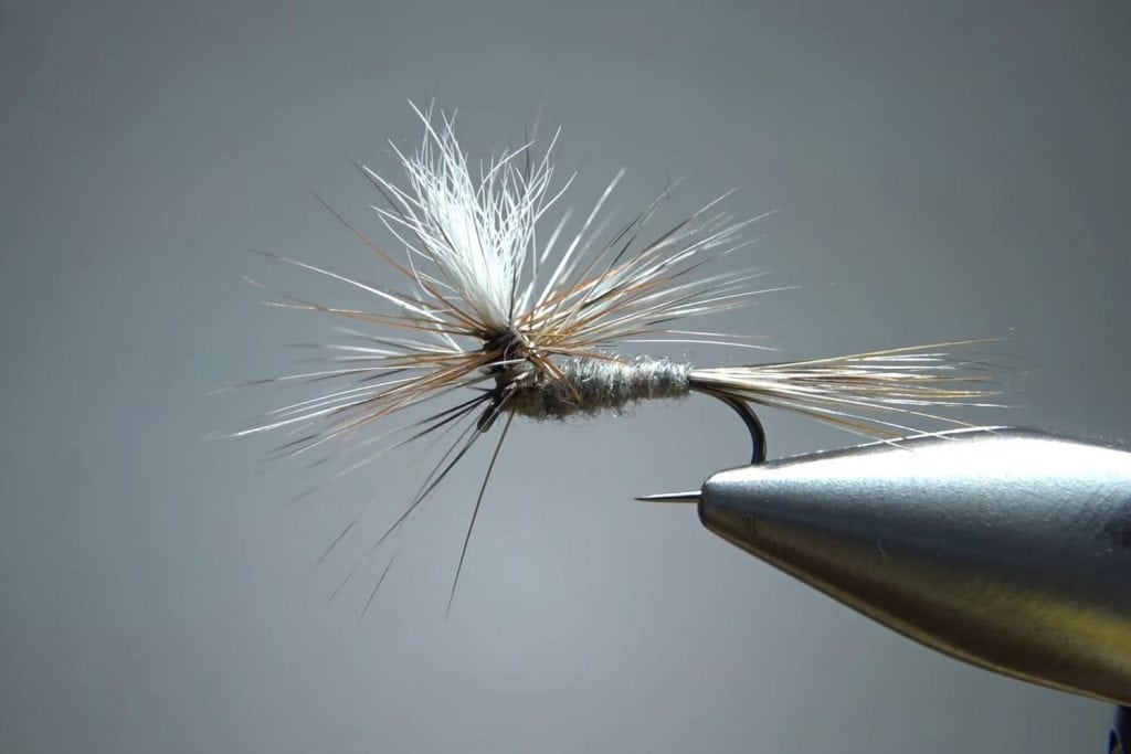 Parachute Adams Dry Fly
