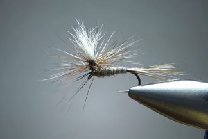 Parachute Adams Dry Fly